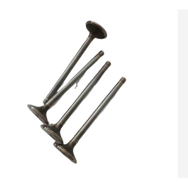 6742-01-0150 6742-01-3000 3802463 Intake Diesel Engine Valves STD For KOMATSU