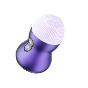Portable Cleanser Face Machine 4 Replacement Heads Rechargeable Facial Massager
