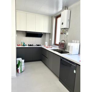 Modern Kitchen Cabinet with Melamine Door Panel Customizable