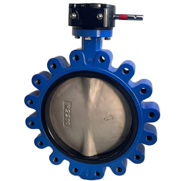 Lug type manual butterfly valve turbine lug butterfly valve lockable ductile