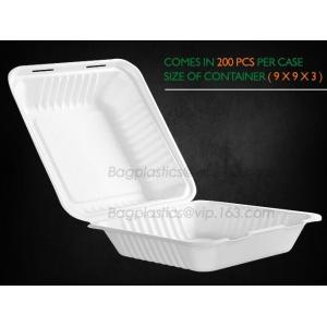 Compostable Clamshell Take Out Food Containers, Natural Disposable Bagasse, Eco