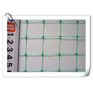 Quality UV Stabilized PP Plant Support Net Economical Green Pea Bean Netting for sale