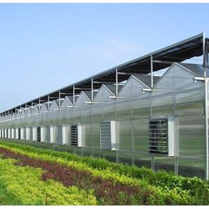 Cultivation Method Hydroponics US Regulated Glass Greenhouse for Vegetable