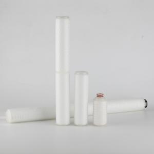 Technology Membrane Separation Biological Treatment in 10 Inch Pes Filter