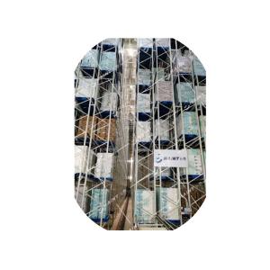 Chaint ASRS Automatic Racking System in Warehouse