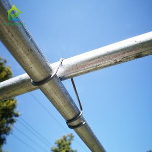 Durable Low Tunnel Plastic Shed Film Polyhouse Tomato Growing Greenhouses