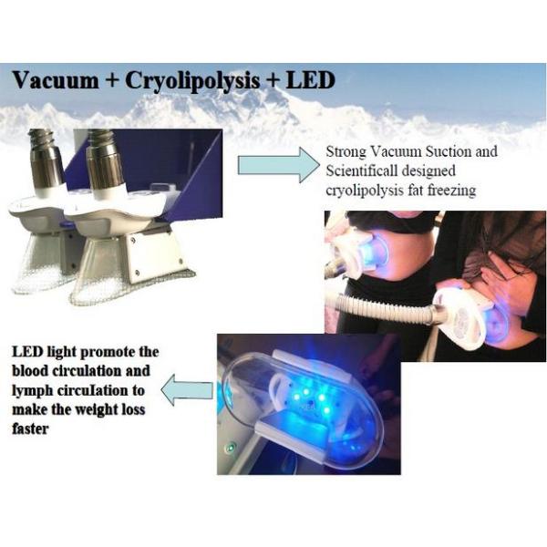 New style 5 handles multifunctional 3 in 1 cryolipolysis slimming machie