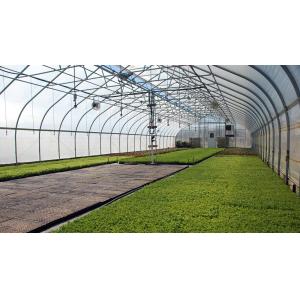 Agriculture Mushroom Management Greenhouse Planting Vegetables Fruits Single