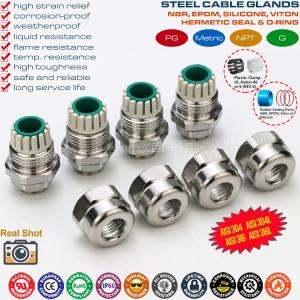 China SS304, SS316 & SS316L Stainless Steel PG9 Cable Gland, IP68 Hermetic Electrical Gland Connector for 4-8mm Wire on sale