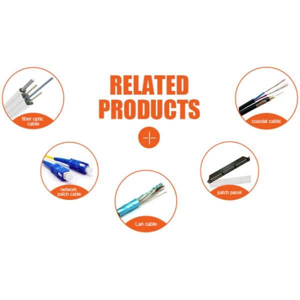 Exquisite Fashion Flat Cat5e Ethernet Patch Cable With Blue Special Connector