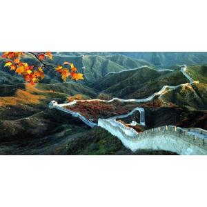 China PLASTIC LENTICULAR 3d picture lenticular printing price pet lenticular 3d wall pictures on sale