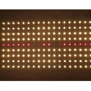 Customized 70W Triac Dimmable 220V AC Quantum Board Full Spectrum LED Light