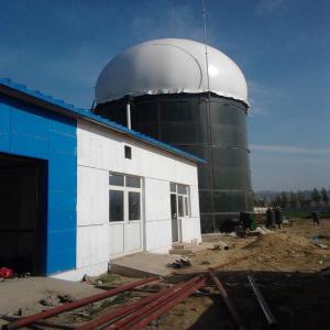 Design Of Anaerobic Reactor In Global Biogas Plant Project