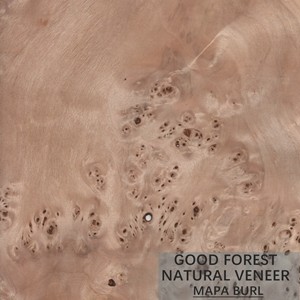 Buy Tree Burl Wood Veneer Natural White Poplar Veneer Sheets Excellent at wholesale prices