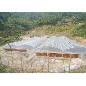 Tomato And Strawberry Greenhouse Turnkey Project 8-10 Meter Span Width