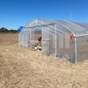 Economical Tunnel Greenhouse with Side Ventilation for Plant Growth