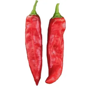 Quality All Natural Dried Paprika Peppers with Mild Heat Level for sale