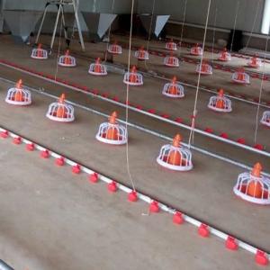 Chicken 15 Nipples/3m Automatic Drinker Cup System