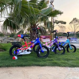 16 Inch Unisex Mountain Saddle Car with Conjoined Crutch and 2.125 Standard