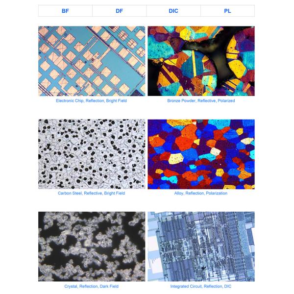 OPTO EDU A13.1096 Inverted Metallurgical Microscope Research Level