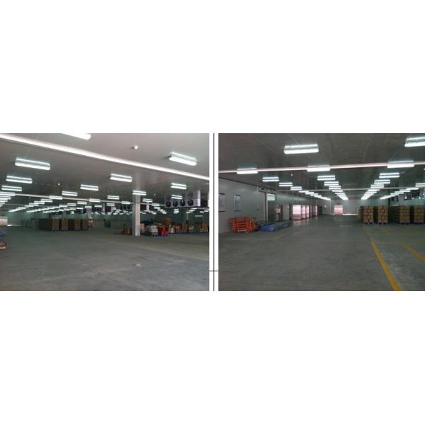 Customized Light Pre Engineered Steel Building Cold Room Steel Storage Warehouse