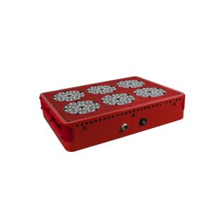 greenhouse application hydroponic grow systems led lights cidly full spectrum