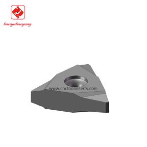 Non-Standard Customization Type Whirling Milling Blade TN2707-M2.58A14.5 with