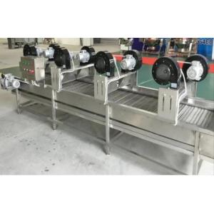 Kiwi Fruit Powder Process Line 1ton Per Hour Bag Packing