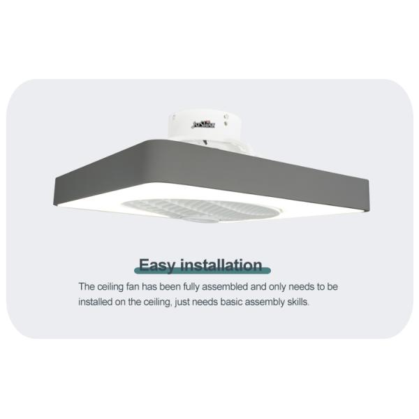 20in DC Silent Motor Bedroom Ceiling Fan With LED Light