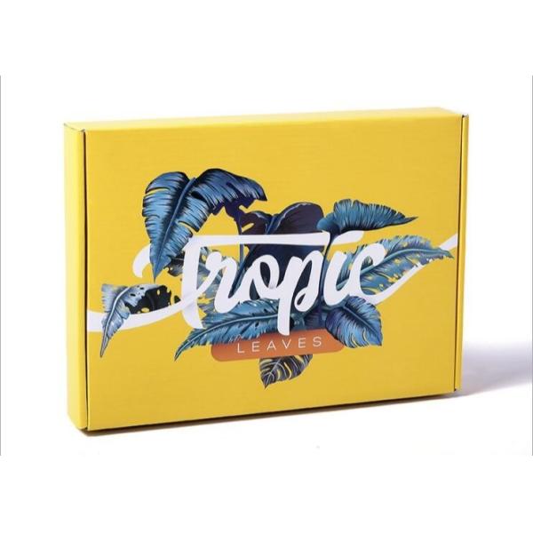 Custom Printed Stamping Die Cut Cardboard Color printing Corrugated Boxes