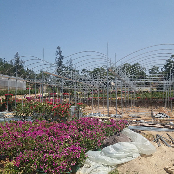 High Roof Plastic Uv Greenhouse With Natural Ventilation For Rainy Climates