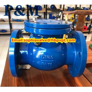 BS5153 cast iron swing check valve