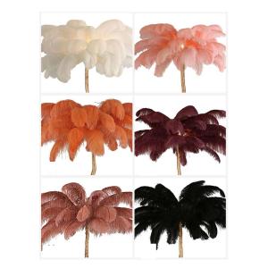 Quality DIY Ostrich Feather Lamp for sale