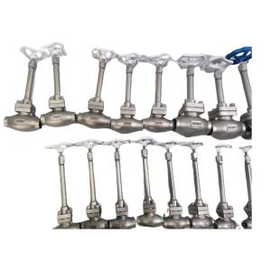 PN50 Cryogenic Globe Valve Stop Valve Socket Welding -196~+80 ℃ For LNG LOX LIN