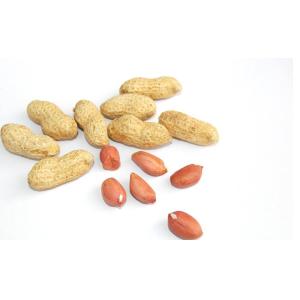 Peanut Protein Powder / Meal, 50% min.