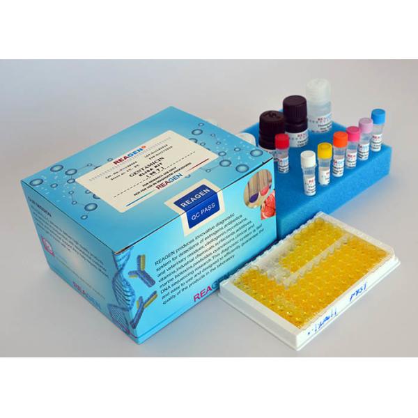 High Sensitivity Chlormadinone ELISA Test Kit For Accurate Quantitative