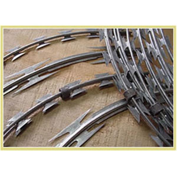 Stainless Steel Hot Dipped Galvanized Concertina Razor Blade Barbed Wire Mesh