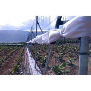 Grape Frame Agriculture Polyester Wire 12 Gauge Monofilament Wire