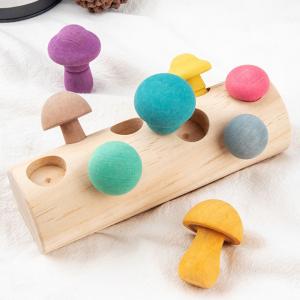 Educational Developmental Shape Wooden Mushroom Picking Game