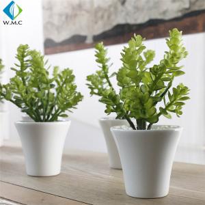 Money Grass Plastic Green Plants 20cm Height Customized Design