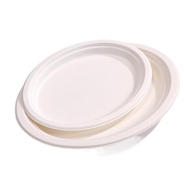 Custom Printed Compostable Smoothie Cups Sugarcane Bagasse Plate 20 Oz