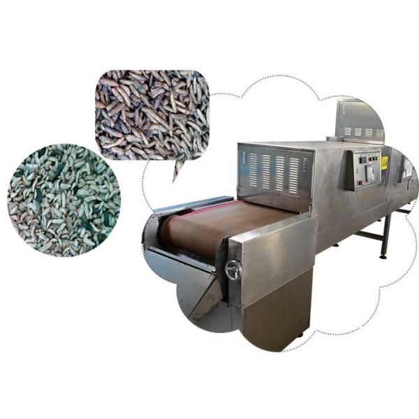 60KW Good Price 100KW Microwwave Black Soldier Fly Larvae Tunnel Belt Drying