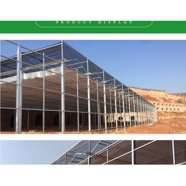 Good Light Permeability Essential for Venlo Glass Greenhouse in Agricultural Industry