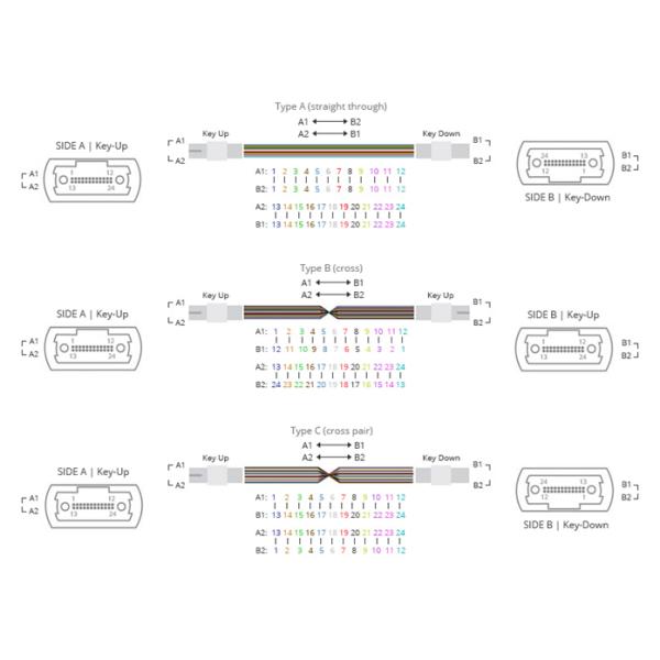 100Gbps 24F 50/125 OM3 LSZH MPO Standard loss 24F MPO (Female) to 2 x 12F MPO (Female) 50/125 OM3 trunk cable LSZH TYPE