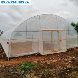 Hot Dip Galvanized Steel Plastic Film Greenhouse Grow Tent Size Customized