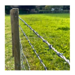 Single Razor Iron Wire Galvanized Concertina Razor Wire Fence for Benefit