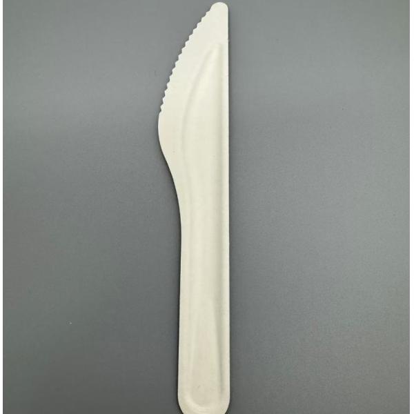 Buy Eco Friendly Compostable Degradable Disposable Sugarcane Bagasse Paper Pulp Knife at wholesale prices