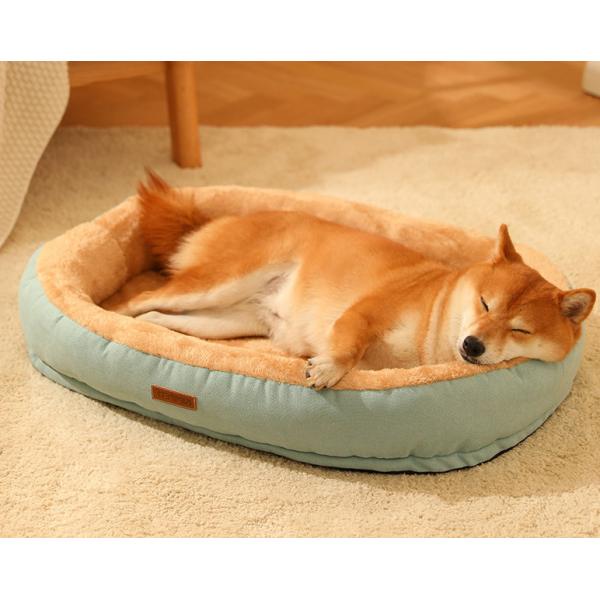 xl large dog bed