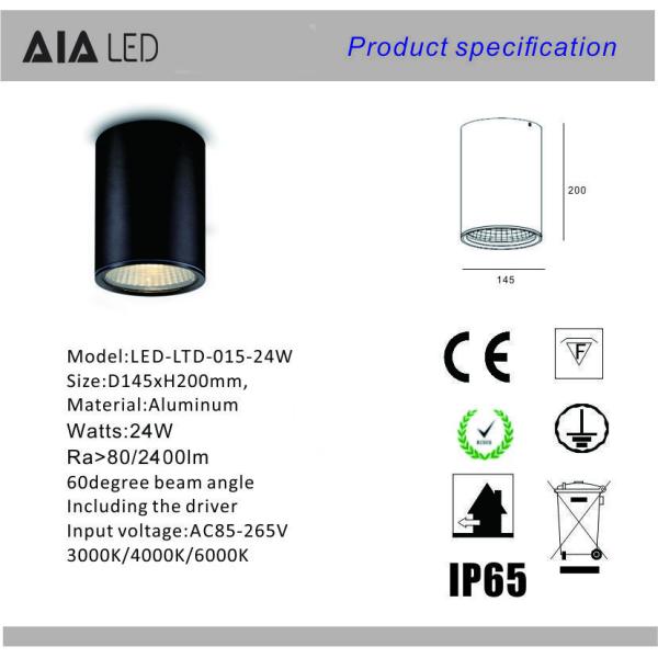 24W led surface mounted downlight&ip65 downlight&led outdoor downlight for outside used