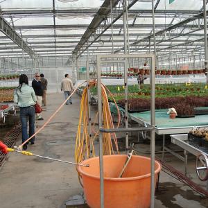 IGREEN Agricultural Venlo Glass Greenhouse to Grow Flowers and Seedlings